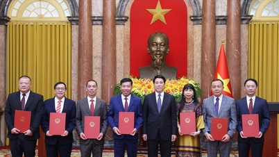 اس تجویز میں سفیر غیر معمولی اور مکمل طور پر جلاوطنی کا عنوان شامل ہے۔