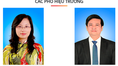 حداکثر تعداد معاونان رئیس که یک دانشگاه می‌تواند منصوب کند، چقدر است؟