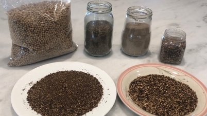 আজ, ১৩ ডিসেম্বর, ২০২৫ তারিখে মরিচের দাম: ক্রমশ বৃদ্ধি পাচ্ছে।