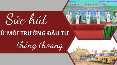 The appeal of a favorable investment environment