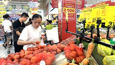 数多くの税制上のボトルネックの解消
