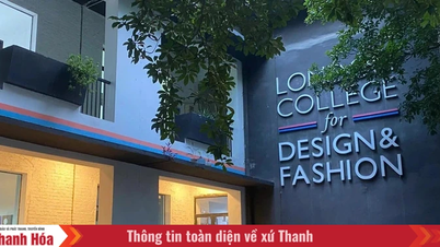 O Ministério da Educação se pronuncia sobre a questão do não reconhecimento de diplomas universitários estrangeiros.