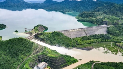 Keputusan dasar utama untuk pembangunan pertanian di Thanh Hoa: [Bahagian 3] Perairan hutan yang luas menyedarkan seluruh tanah.