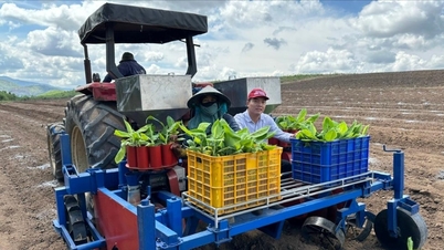 Vývoj technologií zpracování a konzervace: Hnací síla pro zvyšování hodnoty zemědělských, lesnických a vodních produktů.