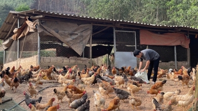 少数民族の雇用創出を支援します。