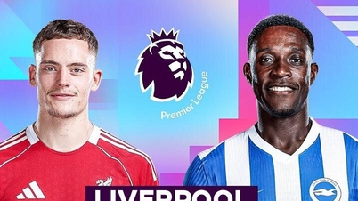 Liverpool vs Brighton Preview: Mohamed Salah Takes the Spotlight