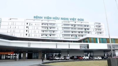 ویت ڈک فرینڈشپ ہسپتال کی سہولت 2 مریضوں کو معائنے اور علاج کے لیے کب وصول کرتی ہے؟