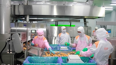 Dong Nai menyambut baik gelombang investasi dalam pengolahan produk pertanian.