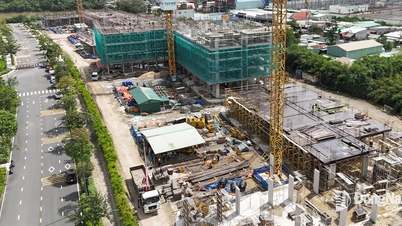 תיקון פרקטיקות שליליות בסקירה, קנייה, מכירה והשכרה של דיור ציבורי.