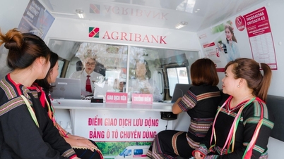 ایگری بینک کا اینٹی منی لانڈرنگ سینٹر: بینک اور لوگوں دونوں کی حفاظت کرنے والی ایک "ڈبل شیلڈ"