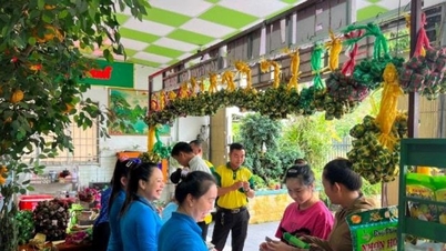 डोंग थाप नए ग्रामीण क्षेत्रों का निर्माण कर रहा है; डिजिटल परिवर्तन के साथ ओसीओपी कार्यक्रम का विकास: ग्रामीण अर्थव्यवस्था के निर्माण में एक बड़ी सफलता।