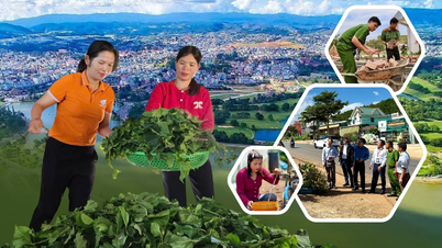 람동은 지속 가능한 방식으로 빈곤을 퇴치하기 위해 노력합니다.