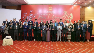 Los logros de Vietnam siempre han sido posibles gracias al apoyo de amigos internacionales.