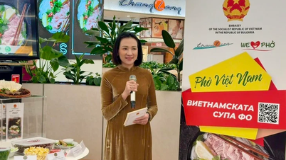 Đại sứ Việt Nam tại Bulgaria: Phở không khó chế biến nhưng là kiệt tác