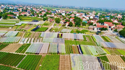 Ventajas de los cultivos de invierno