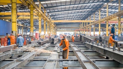 Asgari ücret bölgelerindeki eksiklikleri proaktif olarak belirleyin ve gidermek için çözümler önerin.