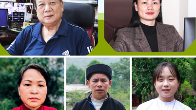 Akar keberlanjutan terletak di dalam setiap keluarga.