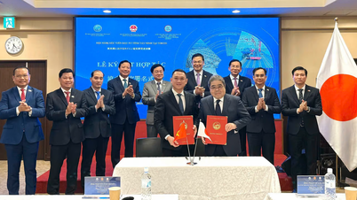 Tay Ninh meningkatkan inovasi di bidang ilmu pengetahuan dan teknologi serta transformasi digital dalam promosi investasi asing langsung (FDI).