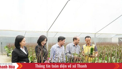 Fermieri mândri din Thanh Hoa în noua eră.