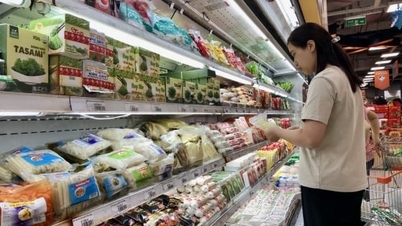 Jsou nutná naléhavá opatření ke zmírnění následků přírodních katastrof a obnovení výroby a obchodních aktivit.