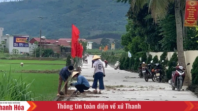 “Ir de calle en calle, tocar todas las puertas” para liberar el potencial de la gente.