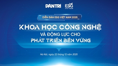 ২২শে ডিসেম্বর ভিয়েতনাম ESG ফোরাম ২০২৫-এর মূল বিষয়বস্তু প্রকাশিত হয়েছে।