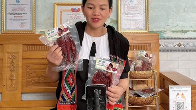 ການເປັນເຈົ້າການດ້ານເສດຖະກິດດິຈິຕອນ