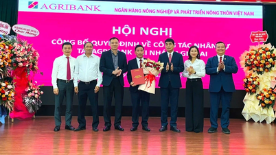 Sayın Phan Ngoc Linh, Agribank Gia Lai Şubesi Müdürü olarak atanmıştır.