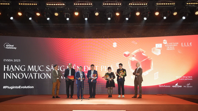 یورپی یونین کا وفد ویتنام کے پائیدار ڈیزائن کا احترام کرتا ہے۔