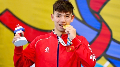 Vietnam folytatta győzelmi sorozatát december 12-én 10 aranyéremmel, és megtartotta helyét a legjobb 2 között: mindössze 38 aranyéremmel lemaradva Thaiföld mögött.