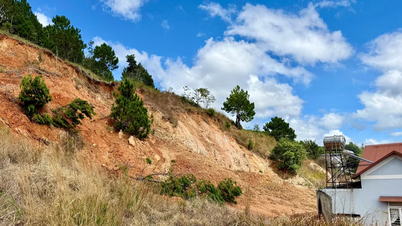 لام دونغ: تم نقل العديد من الأسر من أسفل تل الصنوبر المتضرر من الانهيارات الأرضية.