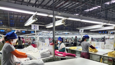 産業クラスターの役割の強化