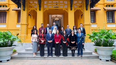 Wakil Menteri Nguyen Minh Hang menerima delegasi pejabat Palestina yang mengikuti kursus pelatihan di Akademi Diplomatik.