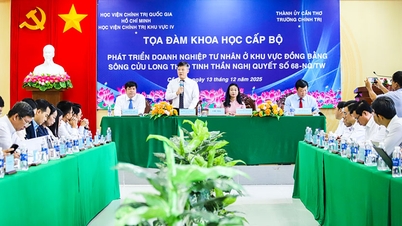 פיתוח מפעלים פרטיים בדלתא של המקונג בהתאם לרוח החלטה 68-NQ/TW.