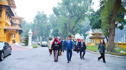 Staatssecretaris van Buitenlandse Zaken Le Anh Tuan ontvangt ambassadeurs van Afrikaanse landen die niet in Vietnam gevestigd zijn.