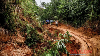 קוואנג נגאי: כבישים ניזוקו ממפולות, תושבי קהילת טאי טרה חשים חוסר ביטחון בעונת הגשמים.