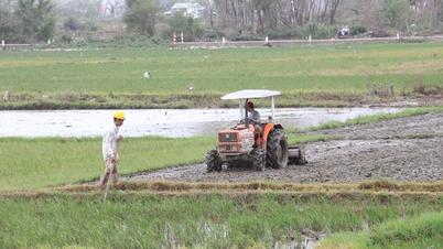 Gia Lai se centra en la diversificación de cultivos y la expansión de áreas de cultivo orientadas a la exportación.