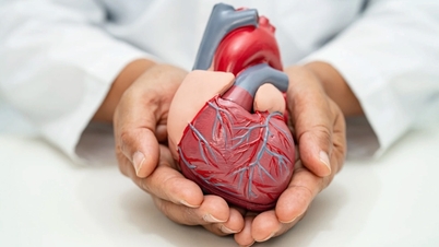 Ajout d'options de traitement et de chirurgie cardiovasculaire mini-invasive pour les patients.