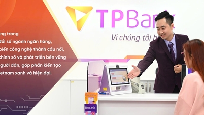 TPBank는 디지털화를 선도하며 지속 가능한 금융의 기반을 강화합니다.