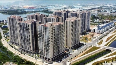 Rozšíření přístupu k sociálnímu bydlení pro osoby s nízkými příjmy.