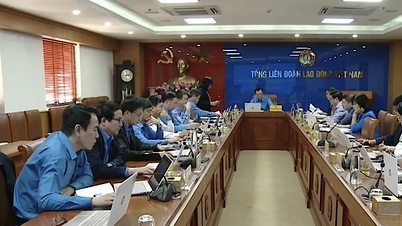 V roce 2025 bude zaměstnáno 52 milionů pracovníků.