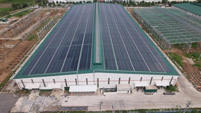 Die Hoa Phat Long An Steel Pipe Company ist dank Solaranlagen auf den Dächern zu fast 40 % autark in der Stromerzeugung.