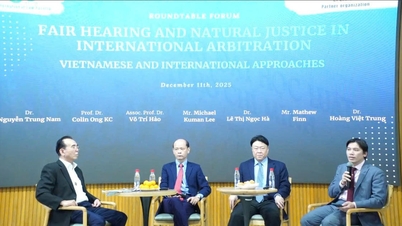 זיהוי סיכונים משפטיים בהליכי בוררות באמצעות מספר סכסוכים בינלאומיים.