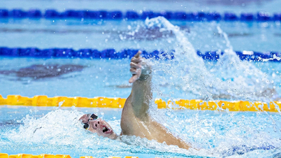 SEA Games 33: Erleben Sie die Dominanz des Schwimmers Nguyen Huy Hoang, wie er durch das Wasser gleitet und in der Schwimmarena unangefochten triumphiert.