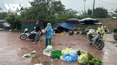 شهدت العديد من المناطق في شمال فيتنام، من ثانه هوا إلى مدينة هوي، أمطاراً غزيرة.
