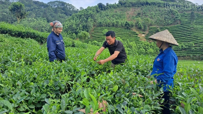 Позитивні результати політики, що сприяє розвитку сільського господарства.