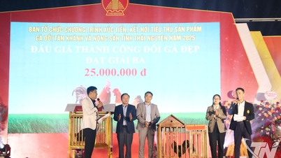 Propojení spotřeby kuřecích produktů z kopce Tan Khanh a zemědělských produktů Thai Nguyen.