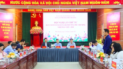 फू थुओंग ने 22 में से 22 सामाजिक-आर्थिक विकास लक्ष्य पूरे कर लिए हैं।