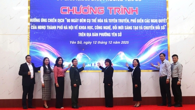 Yen So Ward: Respondendo à campanha sobre tecnologia, inovação e transformação digital.