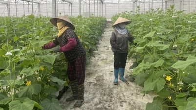 Bringing knowledge back to the countryside opens the way to sustainable poverty alleviation.